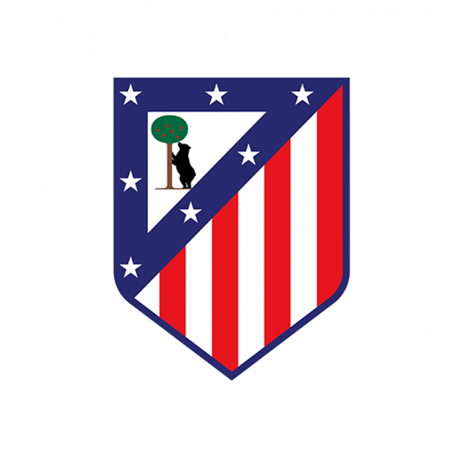 Noticia 5